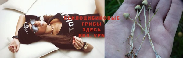 скорость Новосибирск