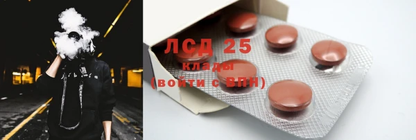 PSILOCYBIN Костерёво