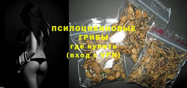 PSILOCYBIN Костерёво