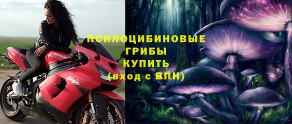 PSILOCYBIN Костерёво