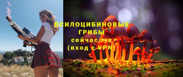 эйфоретик Коряжма